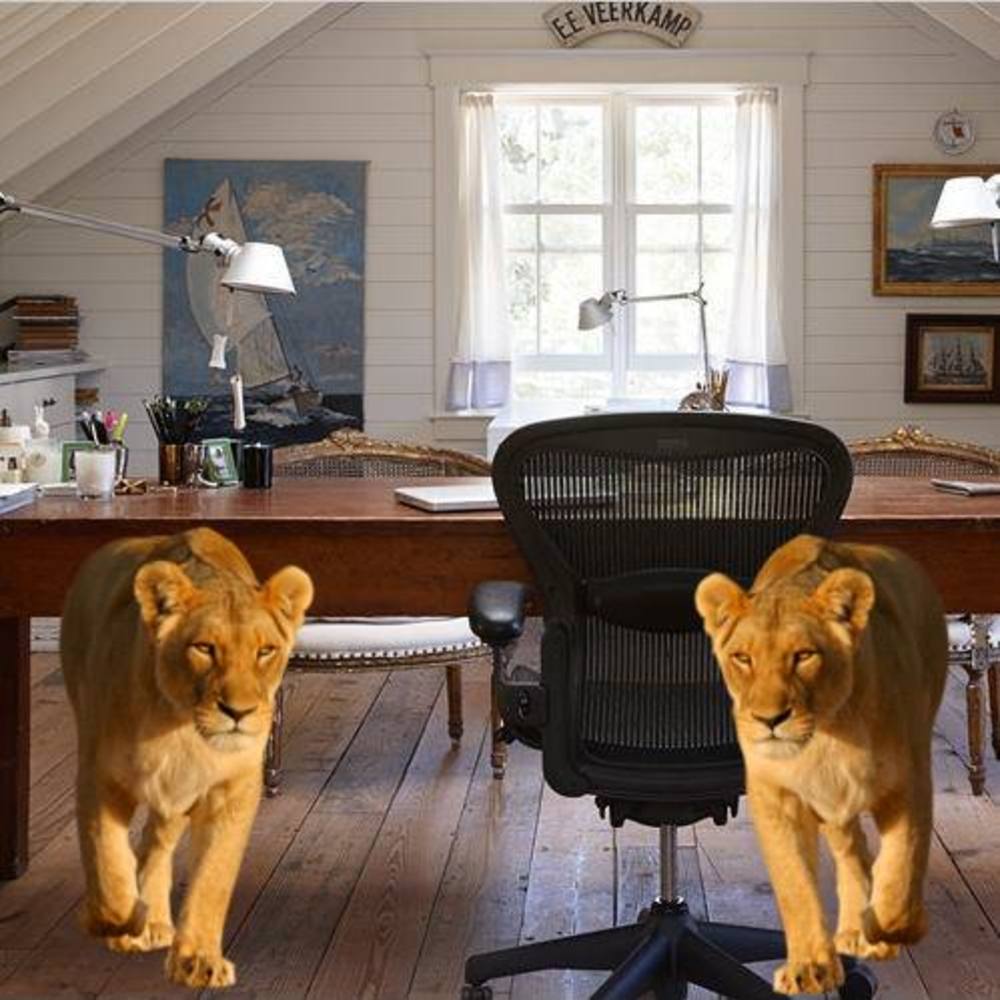 Meet your Posher, Kab